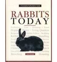 Rabbits Today