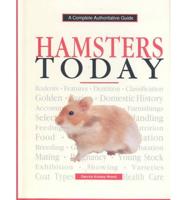 Hamsters Today