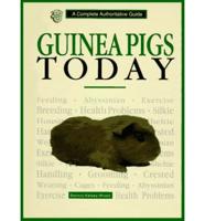 Guinea Pigs Today