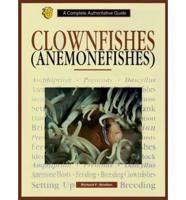 Clownfishes Anemonefishes