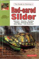 Red-eared Slider Turtles