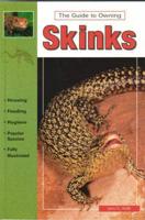 The Guide to Owning Skinks