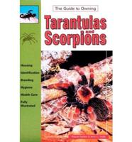 Tarantulas and Scorpions