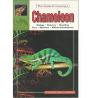 Chameleons. V. 2