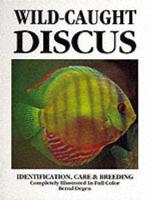 Wild-Caught Discus