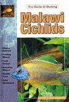 Malawi Cichlids