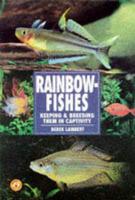 Rainbowfishes