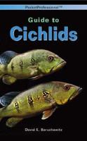 Guide to Cichlids