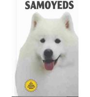Samoyeds