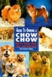 Guide to Owning a Chow Chow