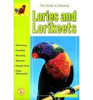 Guide to Owning Lories & Lorikeets
