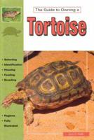 Tortoises