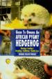 Guide to Owning an African Pygmy Hedgehog
