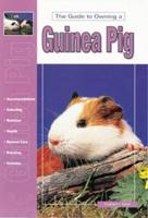 Guide to Owning a Guinea Pig