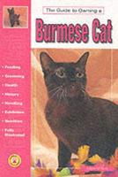 Guide to Owning a Burmese Cat