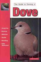 The Guide to Owning a Dove