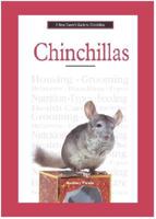 A New Owner's Guide to Chinchillas