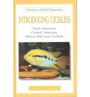 Introducing Cichlids