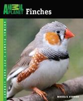 Finches