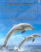 Whales and Dolphins