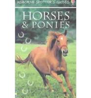 Spotter's Guide to Horses & Ponies