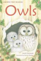 Owls-IR