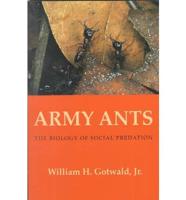 Army Ants