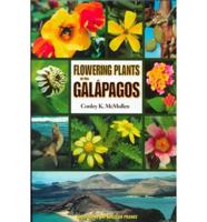 Flowering Plants of the Galápagos