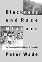 Blackness and Race Mixture