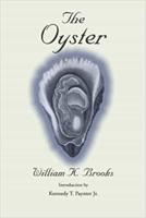 The Oyster