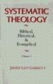 Systematic Theology Vol 2