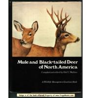 Mule and Black-Tailed Deer of North America