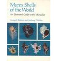 Murex Shells of the World