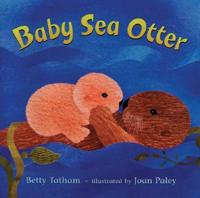 Baby Sea Otter