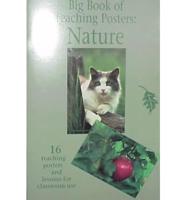 Big Book of Teaching Posters