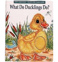 What Do Ducklings Do