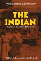 The Indian: America's Unfinished Business