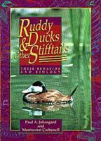 Ruddy Ducks & Other Stifftails