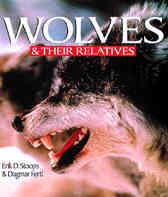 Wolves & Their Relatives