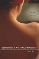Sparks from a Nine-Pound Hammer: Poems
