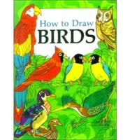 How to Draw Birds