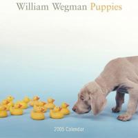 William Wegman Puppies
