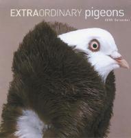 EXTRAORDINARY PIGEONS 2005 AUS