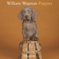 William Wegman Puppies 2008 Wall Calendar