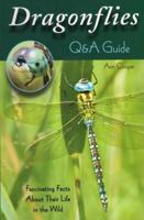 Dragonflies Q&A Guide