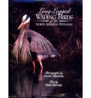 Long-Legged Wading Birds of the North American Wetlands