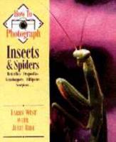 How to Photograph Insects & Spiders