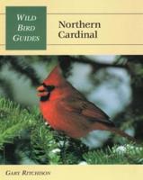 Northern Cardinal