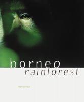 Borneo Rain Forest