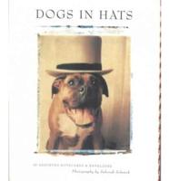 Dogs in Hats Notecards